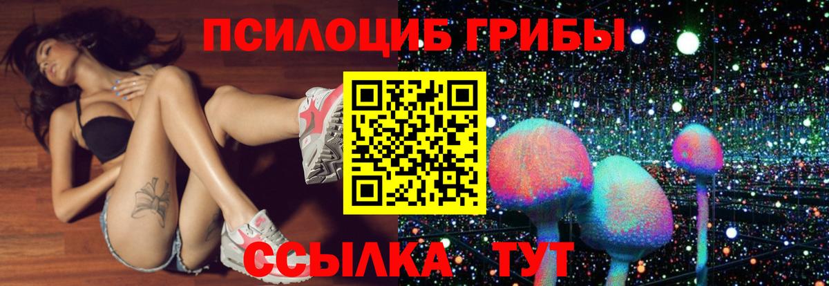 Аргун  Галлюциногенные грибы Magic Shrooms  Вход с VPN 