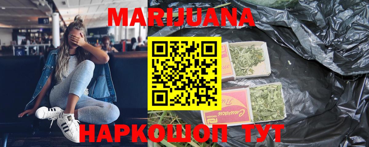 Каннабис план Аргун